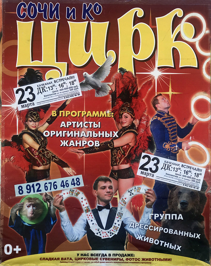 Цирк "Сочи и Ко"